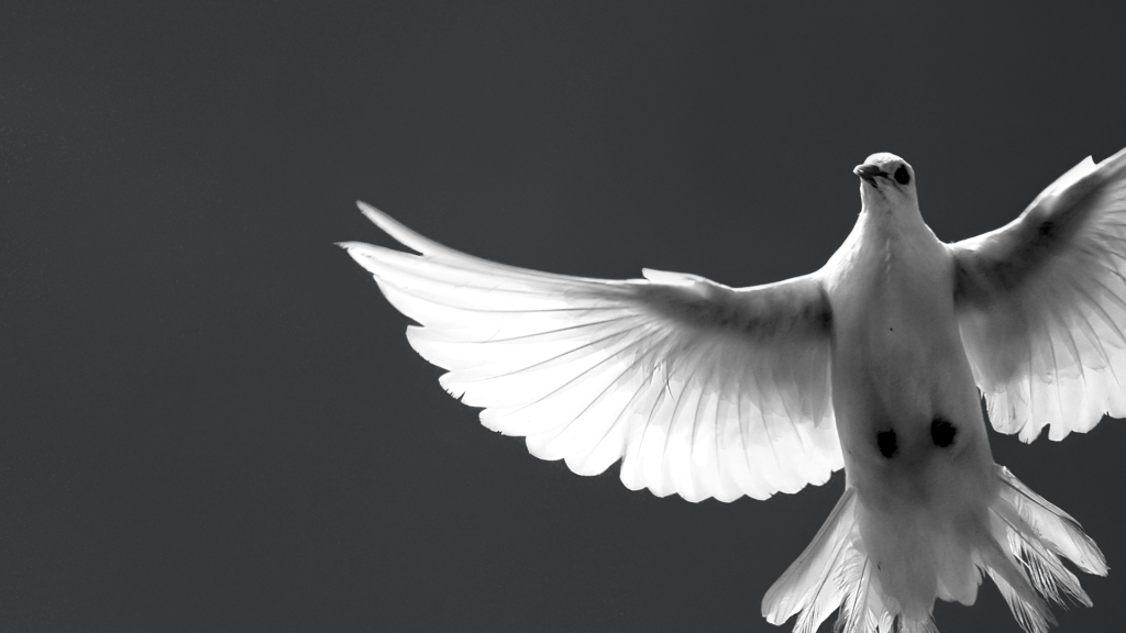 The Advocate: The Holy Spirit, Part 1 of 2&nbsp;[Podcast]