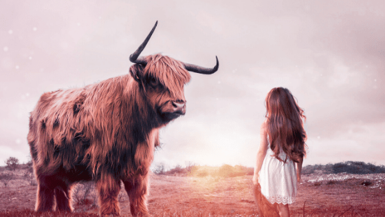 The Courage Equation&nbsp;[Sermon]