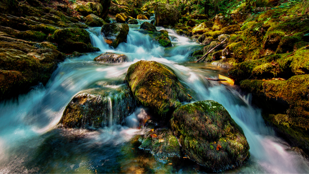 Faithfulness Flows From Faith&nbsp;[Sermon]