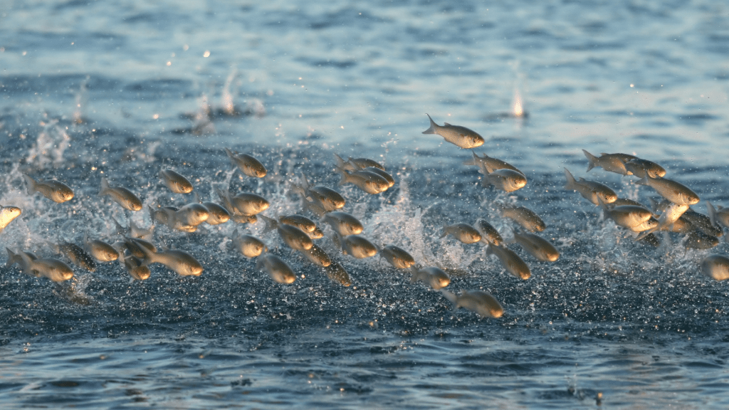 Redefining L.S.D. [Sermon]