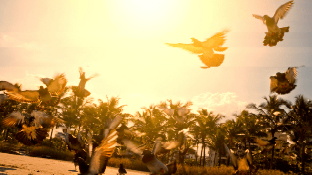 Sanctification, the last sacrifice, and the role other people play in your own holiness (Growing Deeper with Hebrews&nbsp;10:1-25)