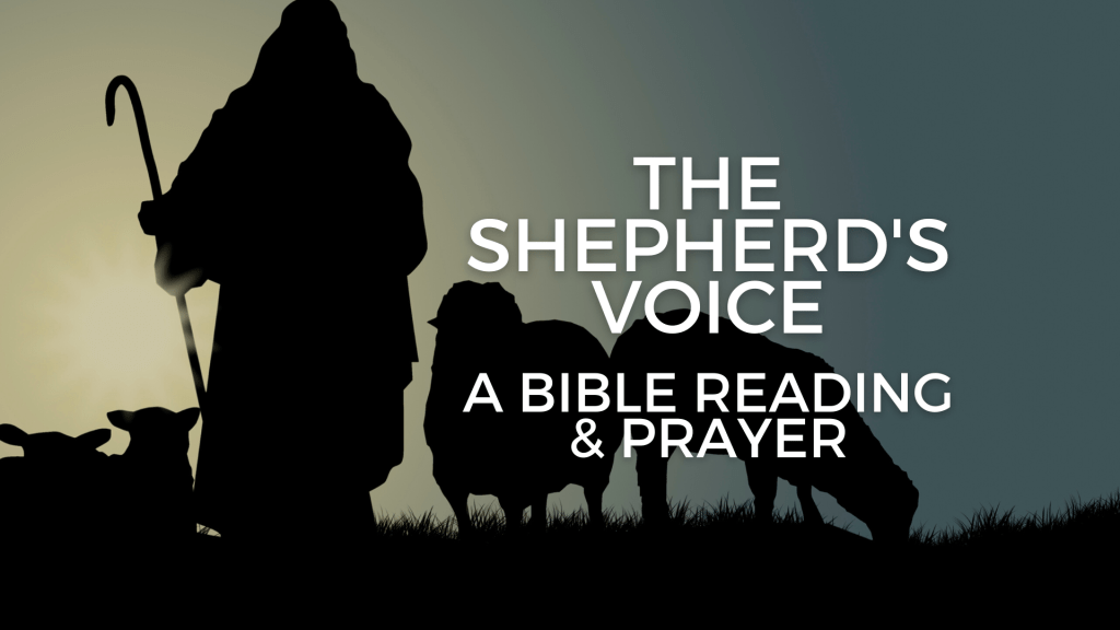 The Shepherd’s Voice – a Bible reading and&nbsp;prayer