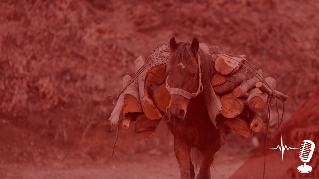 Can we earn heaven? Matthew 7:21 unsettles me, please&nbsp;explain