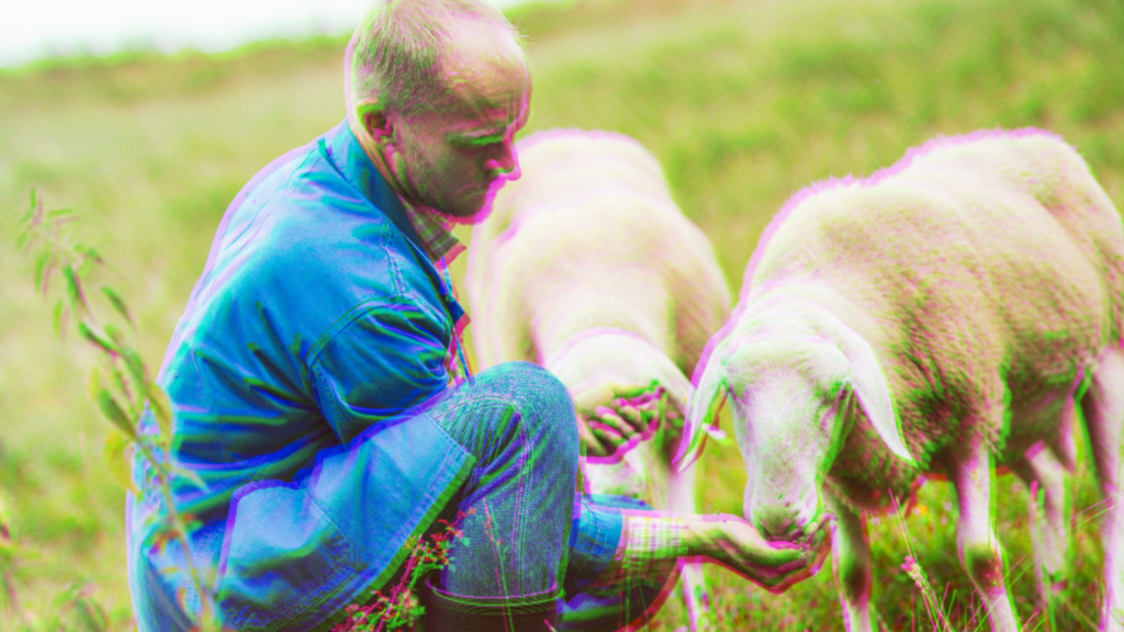 Peter’s redemption, past mistakes, and 153 fish (Growing Deeper with John&nbsp;21)