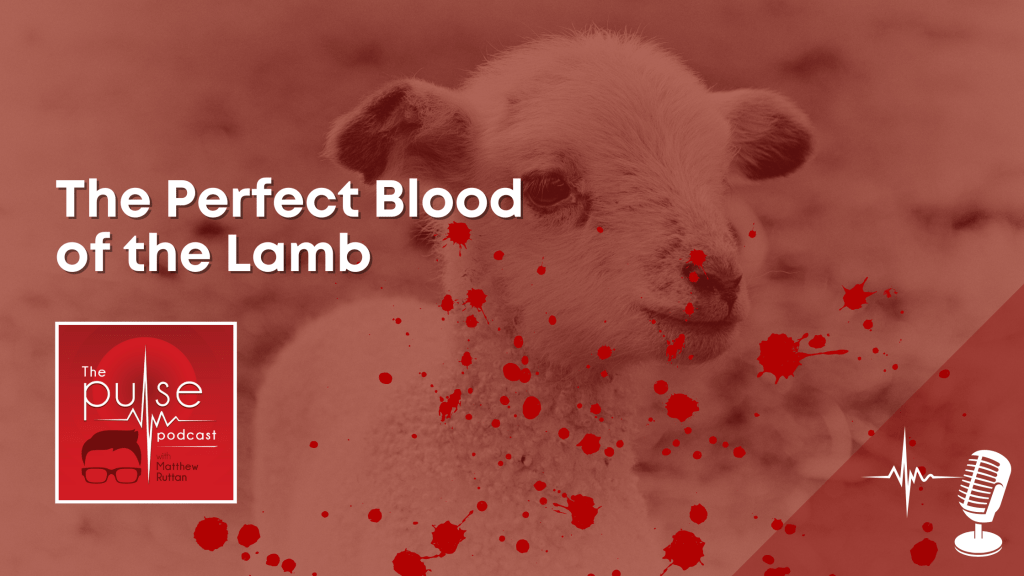 The Perfect Blood of the Lamb&nbsp;[Sermon]